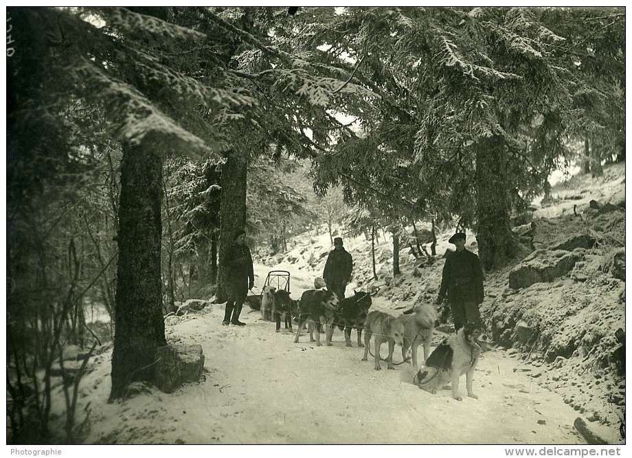 France WWI Alsace Traineaux Militaires à Chiens Scene D'Hiver Ancienne Photo 1917 - War, Military