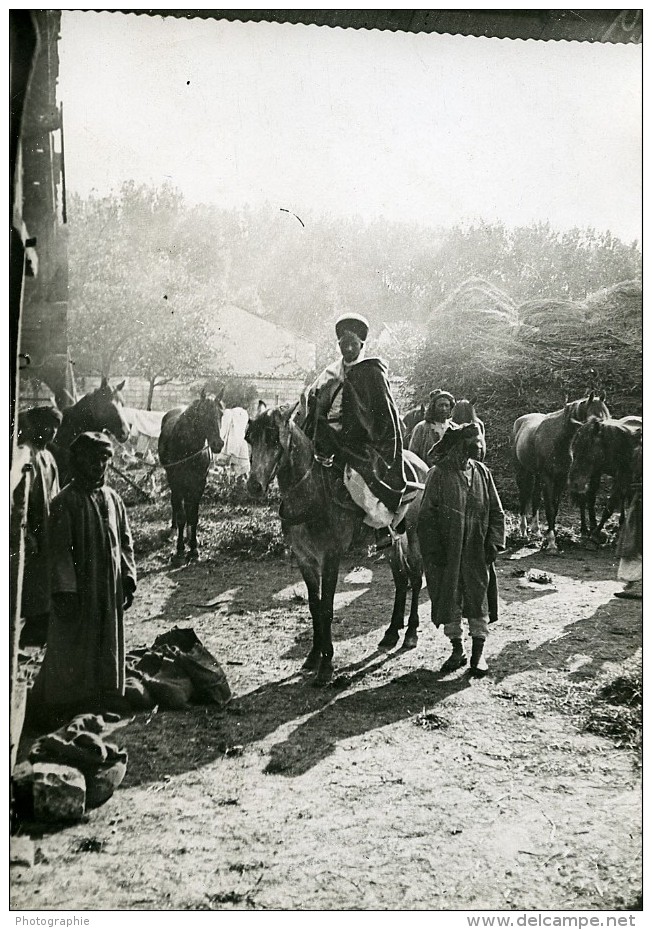 France WWI Marne Spahis Au Cantonnement Chevaux Ancienne Photo 1918 - War, Military