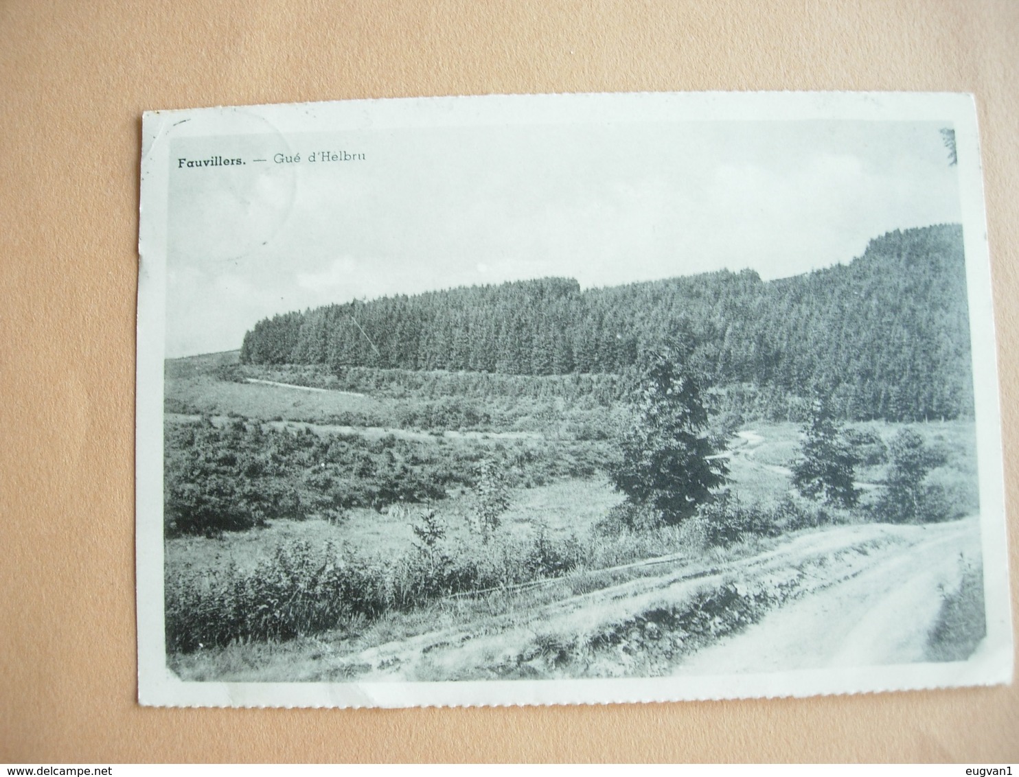 Fauvillers. Le Gué D'Helbru; Envoyée à Nederboelare Le 14.8.1950 - Fauvillers