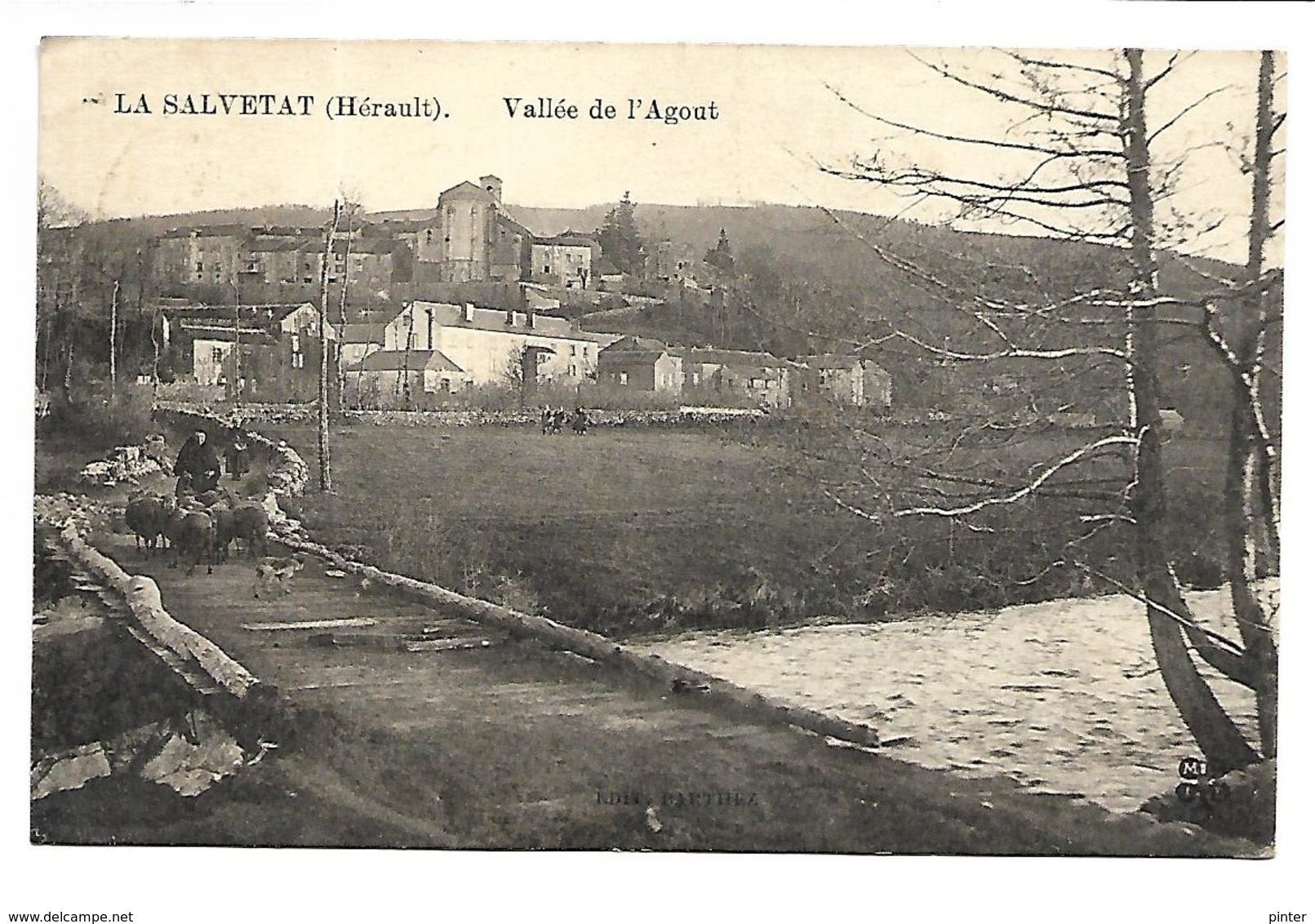 LA SALVETAT - Vallée De L'Agout - La Salvetat