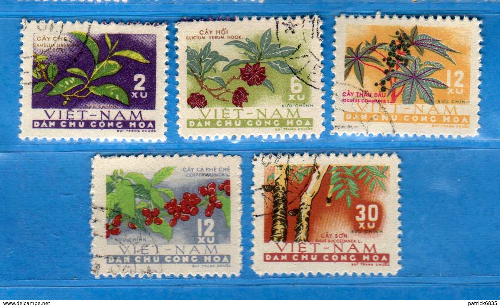 (1Us) VIETNAM Du NORD °-1962 - Piante-Plantes . Yvert. 262 à 266. Oblitéré.  Vedi Descrizione. - Vietnam