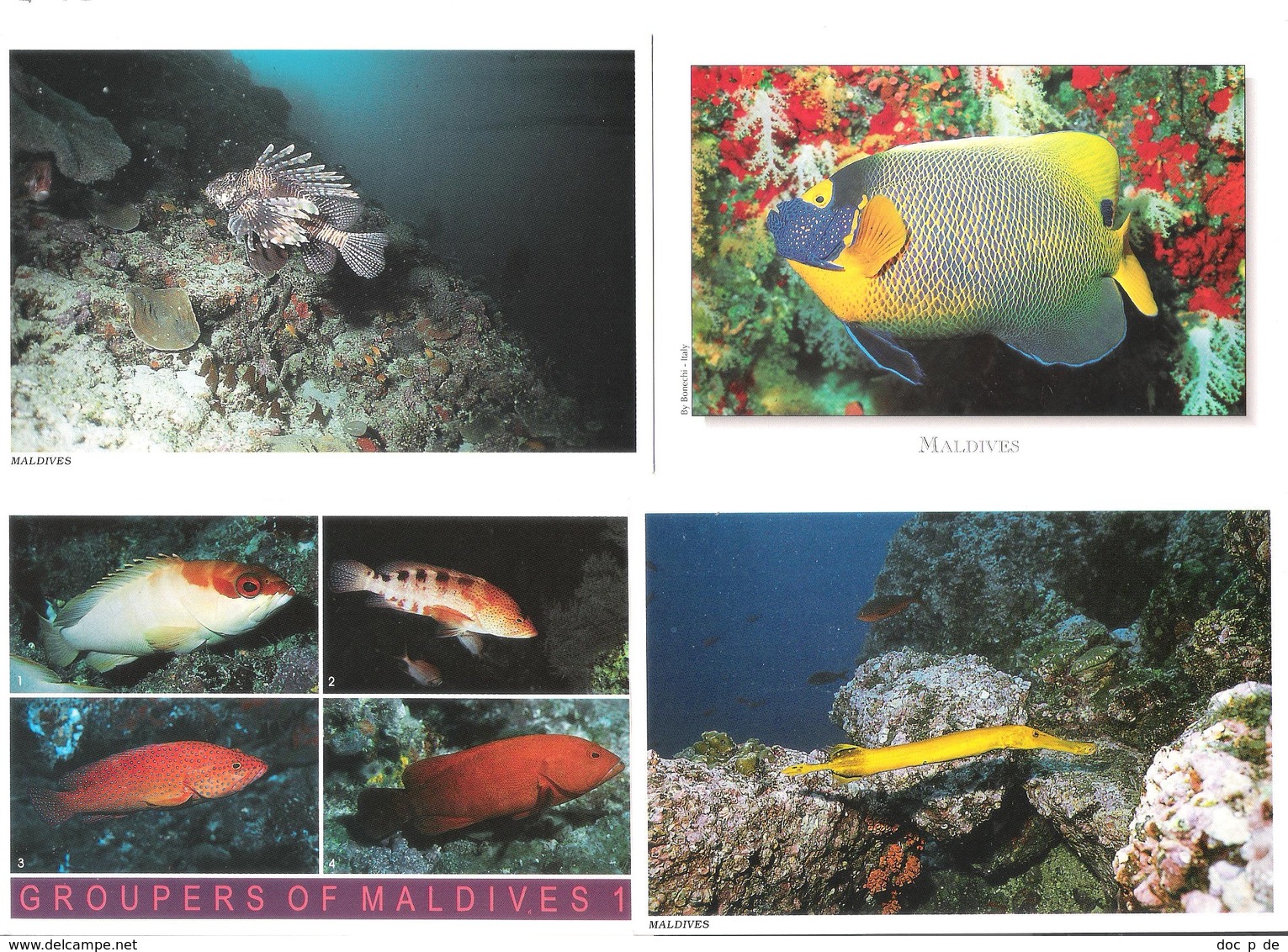 Maldiven - Maldives - 4 Cards - Atoll - Unterwasser - Underwater - Fish - Fisch - Nice Stamps - Maldives