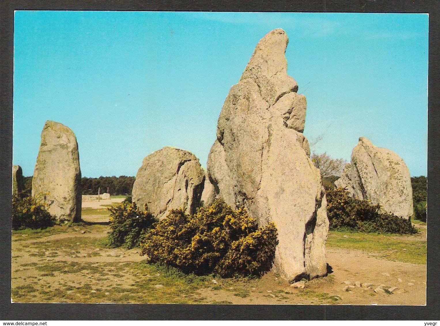 51 Ter - CARNAC - Les Menhirs De Kermario - Carnac