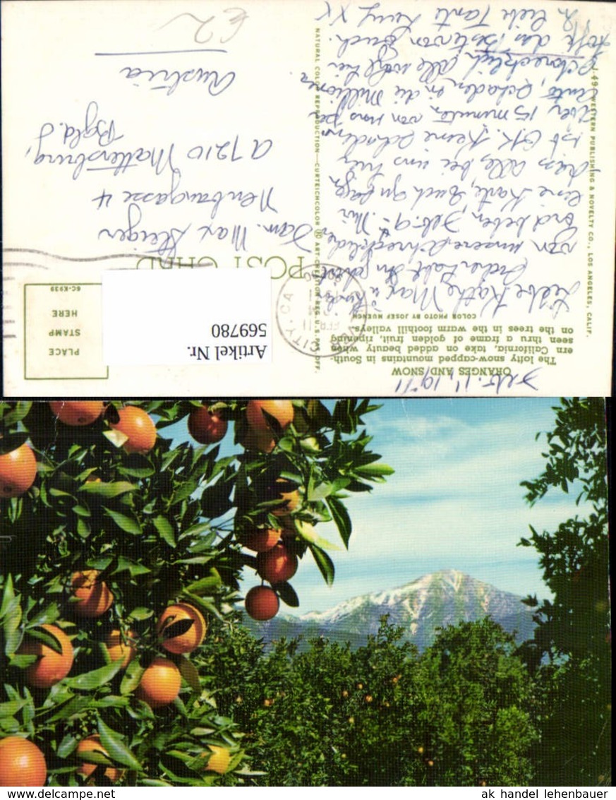 569780,USA Oranges And Snow California Culver City Fr&uuml;chte Obst - Sonstige & Ohne Zuordnung