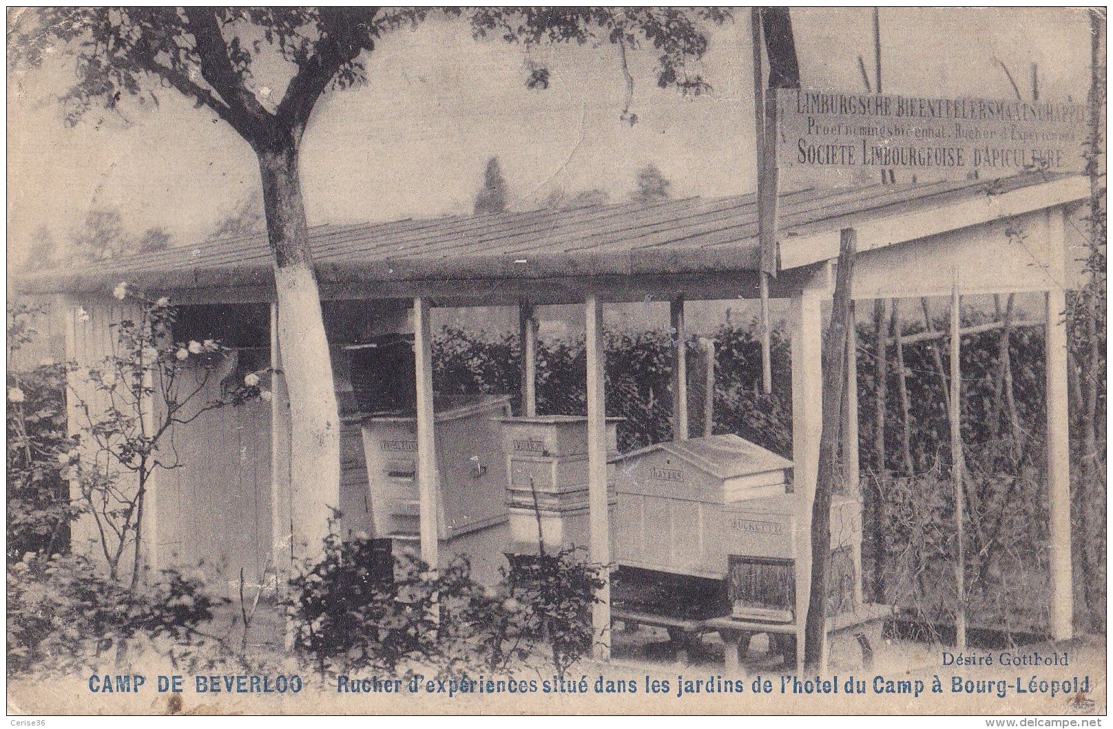 Camp De Beverloo Rucher D'Expériences Situé Dans Les Jardins De L'Hôtel Du Camp à Bourg-Léopold  Circulée En 1907 - Leopoldsburg (Kamp Van Beverloo)