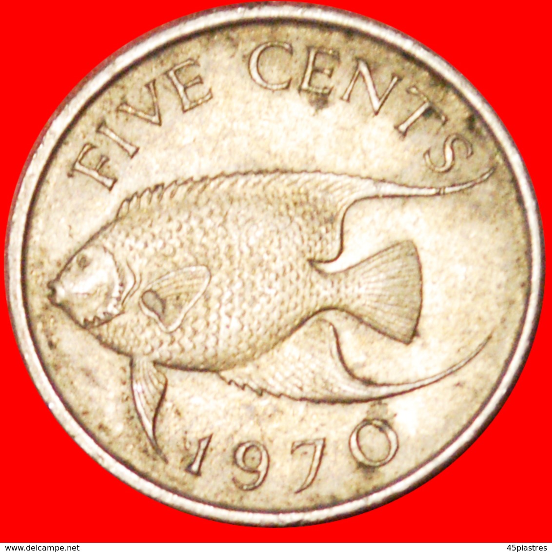 # FISH (1970-1985): BERMUDA ★ 5 CENTS 1970! LOW START ★ NO RESERVE! - Bermudas