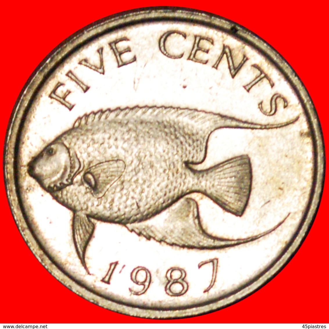 # FISH (1986-1998): BERMUDA ★ 5 CENTS 1987! LOW START ★ NO RESERVE! - Bermuda