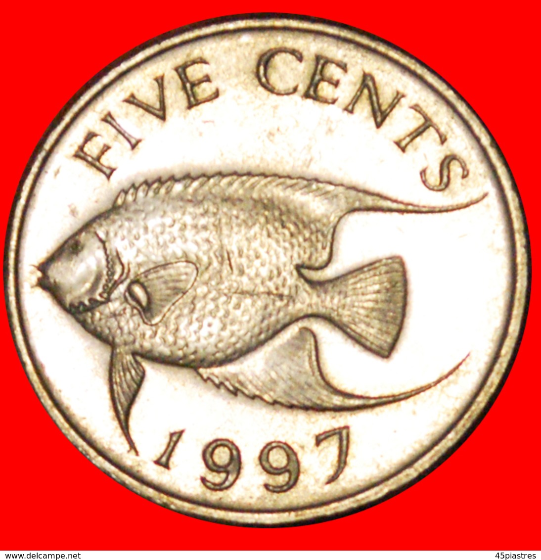 # FISH (1986-1998): BERMUDA ★ 5 CENTS 1997! LOW START ★ NO RESERVE! - Bermudas