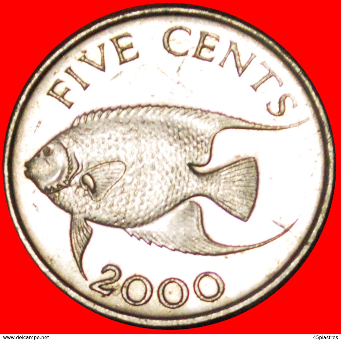 # FISH (1999-2009): BERMUDA ★ 5 CENTS 2000 MINT LUSTER! LOW START ★ NO RESERVE! - Bermudes