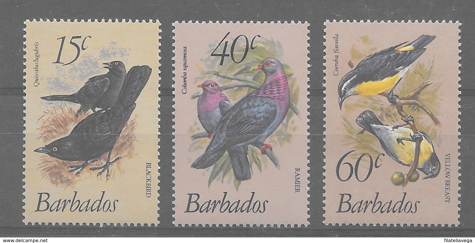 Serie De Barbados Nº Yvert 545/47 ** AVES (BIRDS) - Barbados (1966-...)