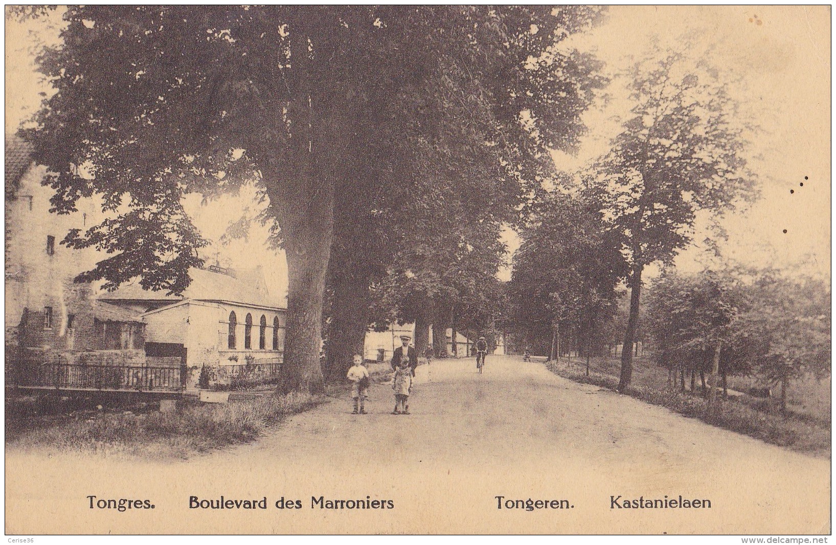 Tongres Boulevard Des Marroniers Circulée En 1925 - Tongeren