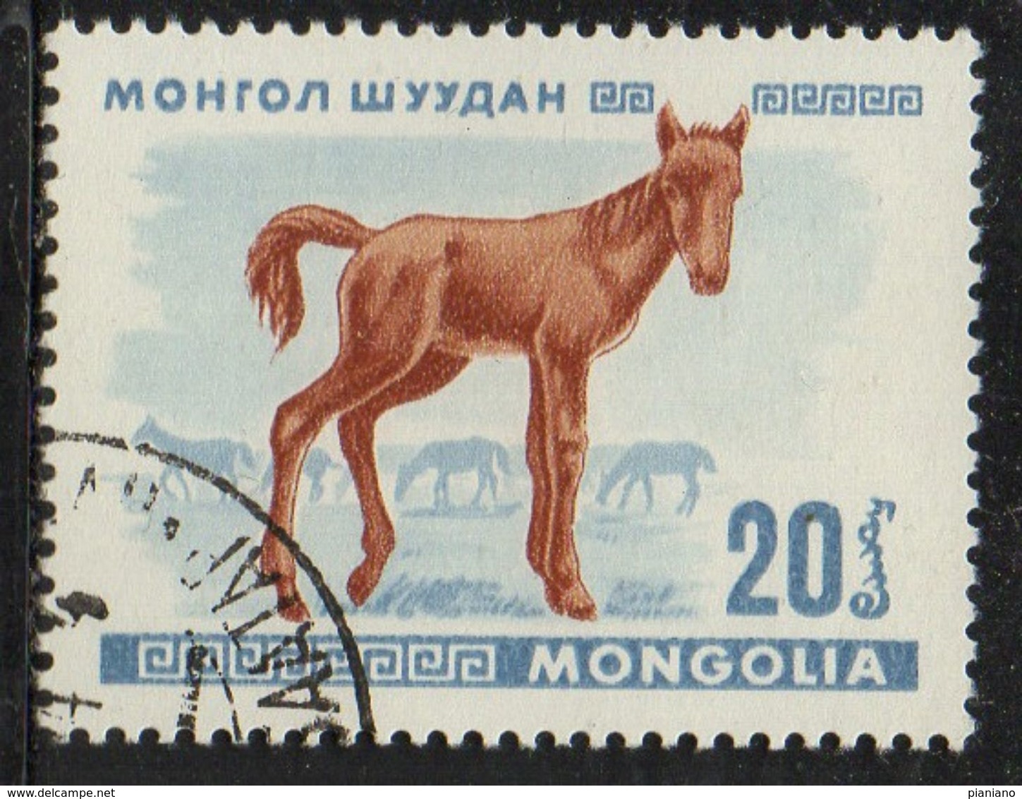 PIA  -1968 :  MONGOLIA  - Giovani Animali : Puledro - (Yv 429) - Mongolia