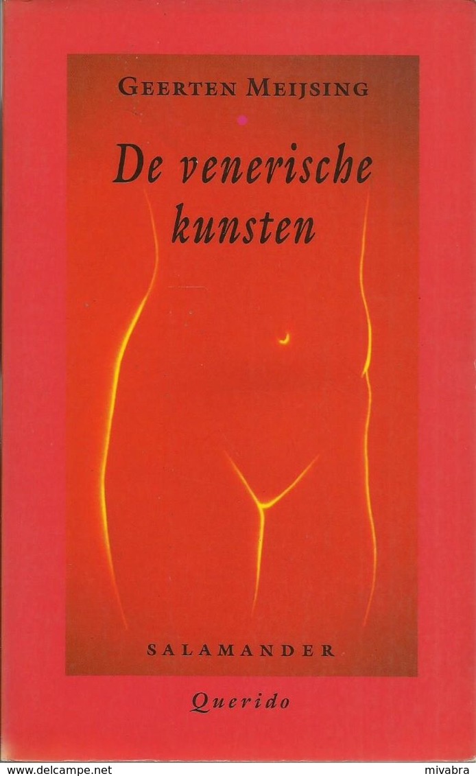 DE VENERISCHE KUNSTEN - GEERTEN MEYSING  - SALAMANDER POCKET N° 709  - QUERIDO 1989 - Littérature