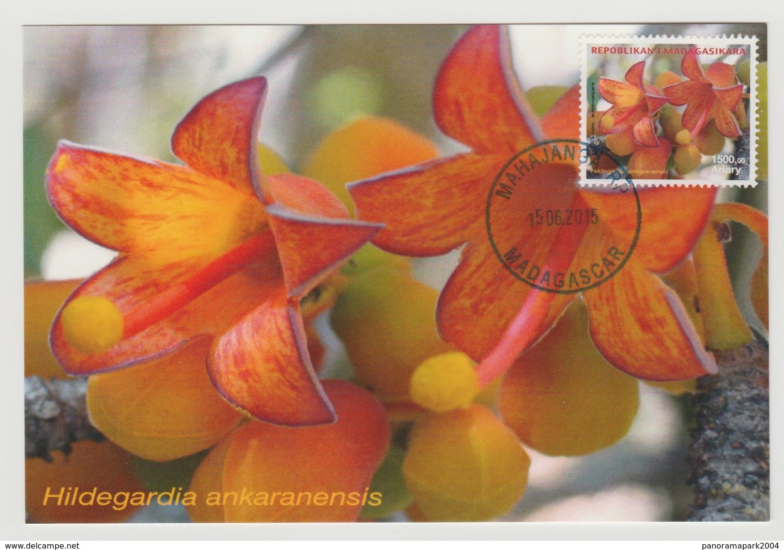 Madagascar Madagaskar 2015 Mi. 2683 Carte Maximum Fleur Blume Flower Orchidée Orchid Orchidee - Madagascar (1960-...)