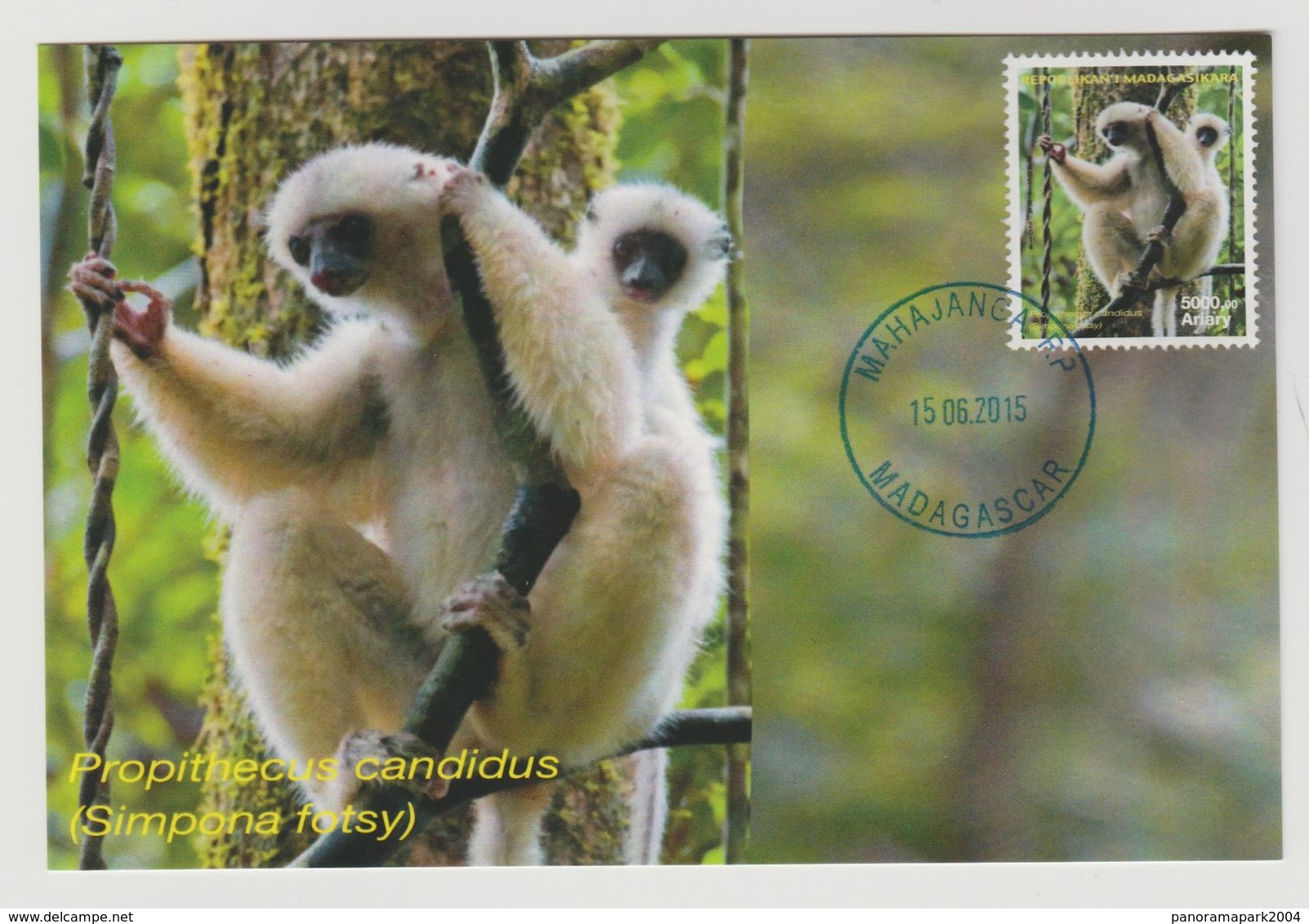 Madagascar Madagaskar 2015 Mi. 2685 Carte Maximum Lémurien Lemur Propithecus Candidus Faune Fauna - Scimmie