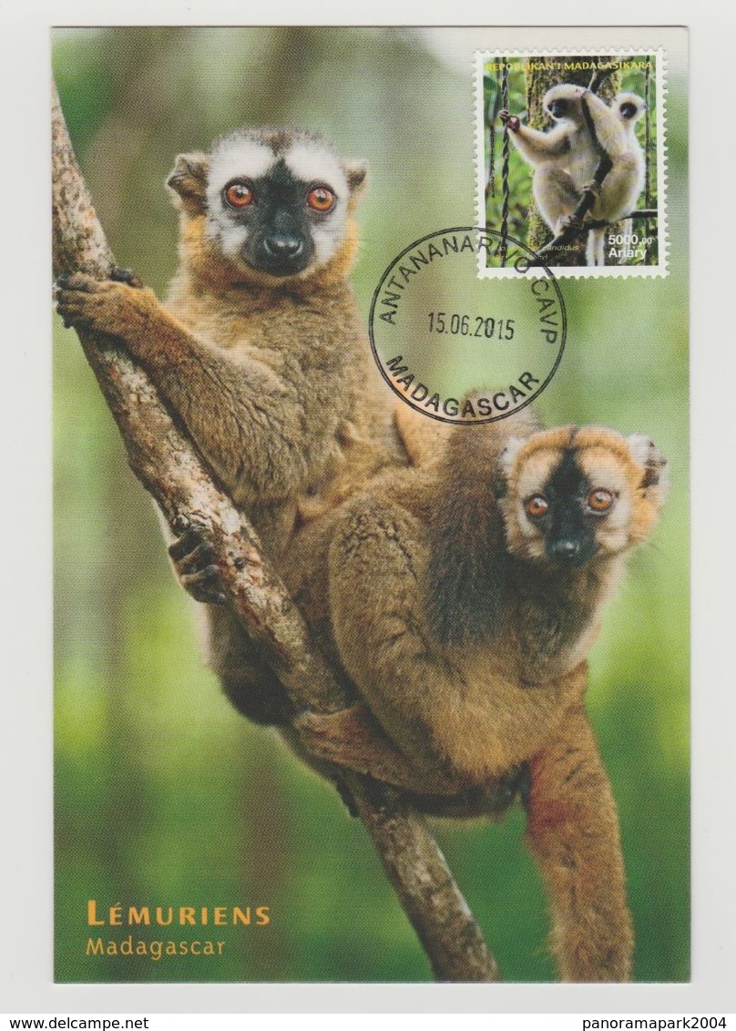 Madagascar Madagaskar 2015 Mi. 2685 Carte Maximum Lémurien Lemur Propithecus Candidus Faune Fauna - Apen