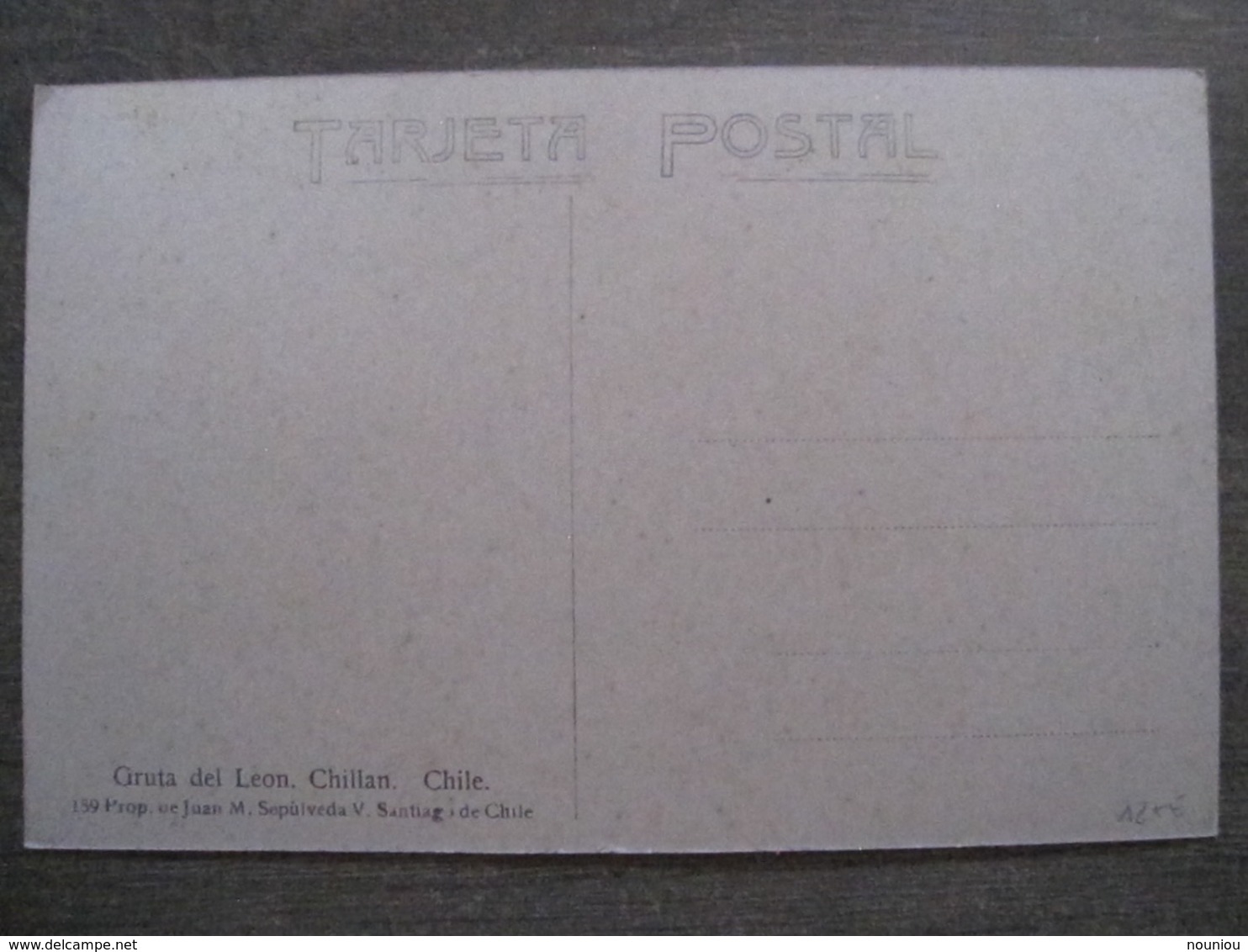 Tarjeta Postal - Chile Chili - Gruta Del Leon - Chillan - Prop. Juan Sepulveda Santiago 159 - Chili