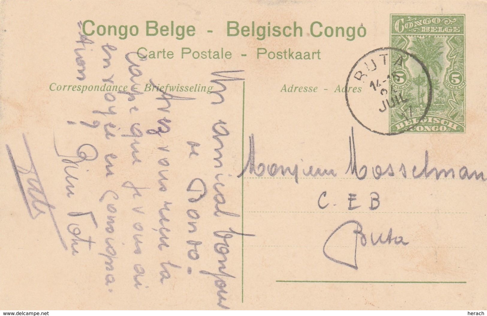 Congo Belge Entier Postal Illustré 1917 - Postwaardestukken