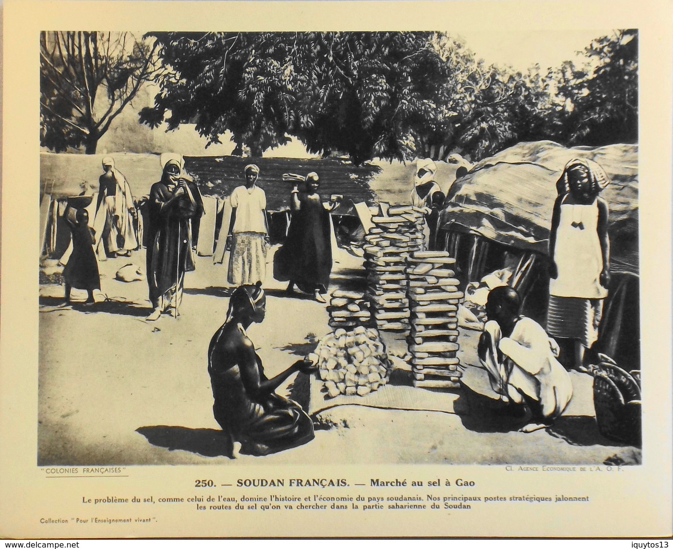 SOUDAN FRANCAIS - N°250 Marché Au Sel à GAO - Collection "Pour L'Enseignement Vivant" - Colonies Françaises - TBE - Collections