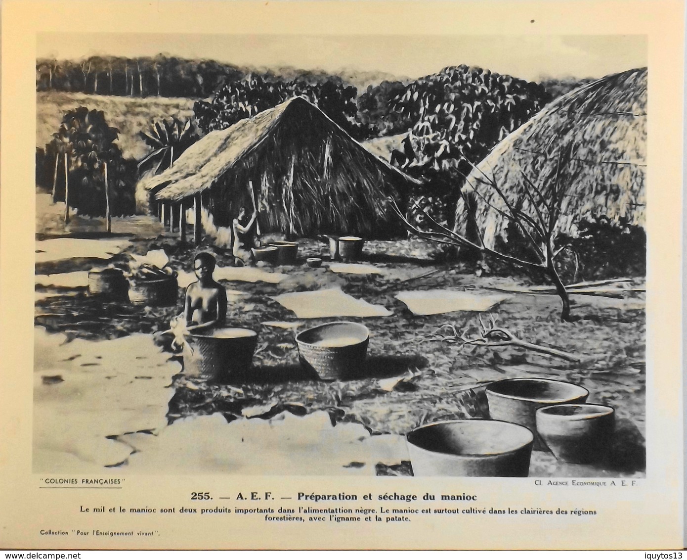 A.E.F. - N°255 Préparation Et Séchage Du Manioc - Collection "Pour L'Enseignement Vivant" - Colonies Françaises - TBE - Collections