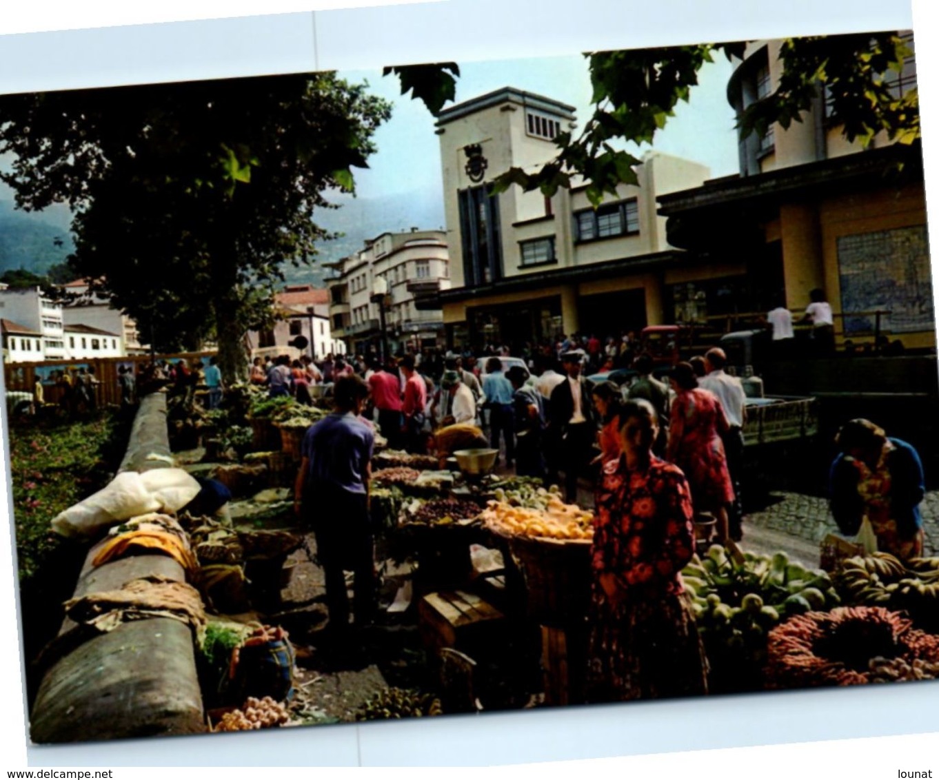 Commerce - Marché - FUNCHALL - Marché Des Paysans - Extérieur - Marchés