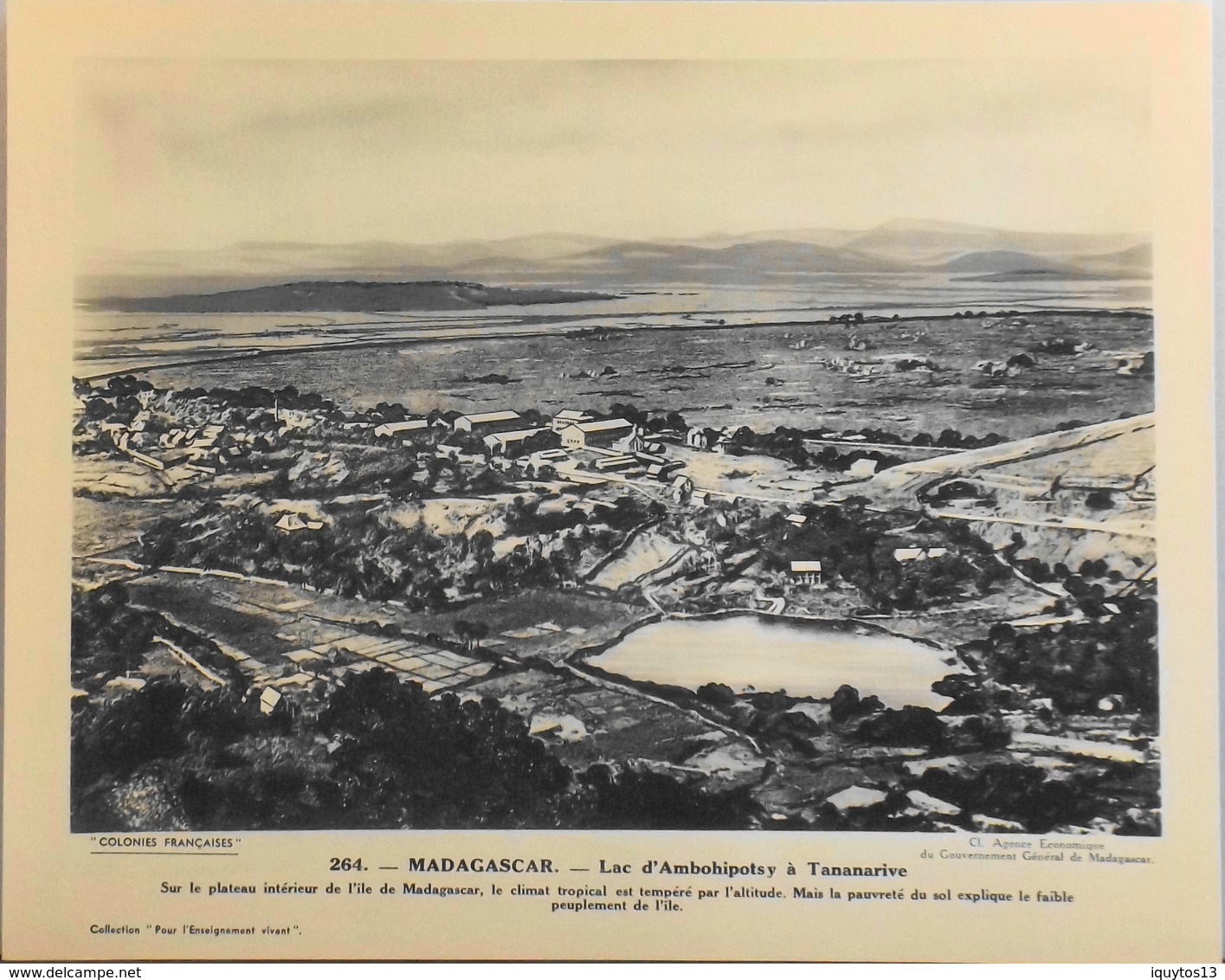 MADAGASCAR - N°264 Lac D'Ambohipotsy à TANANARIVE - Collection "Pour L'Enseignement Vivant" - Colonies Françaises - TBE - Collections