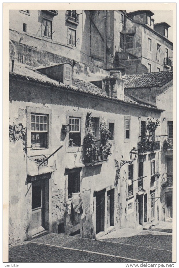 Portugal Postcard 1950 - Sonstige & Ohne Zuordnung