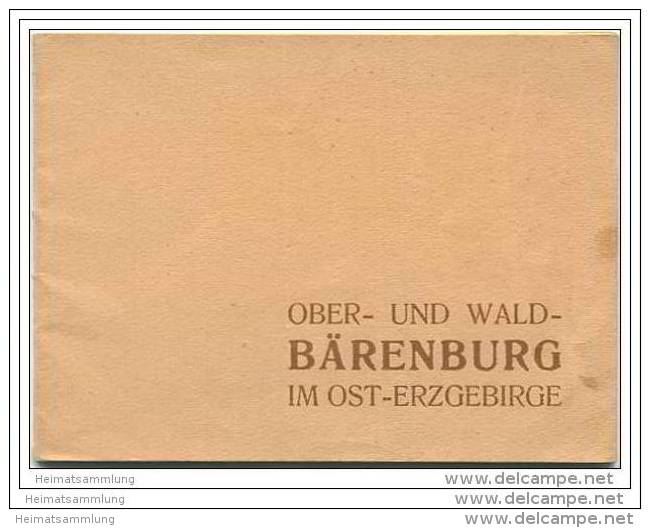 Ober- Und Wald- Bärenburg Im Ost-Erzgebirge 30er Jahre - 24 Seiten Mit 15 Abbildungen - Werbung - Saxe