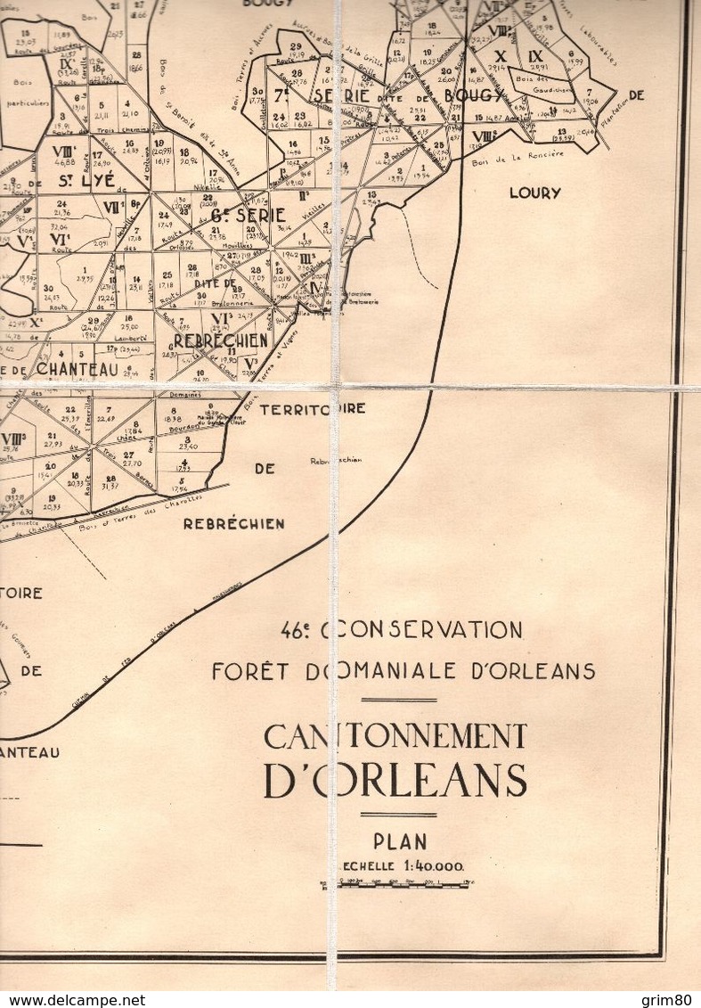 CARTE   FORET  DOMANIALE  D ORLEANS               CANTONNEMENT  D ORLEANS - Cartes Géographiques