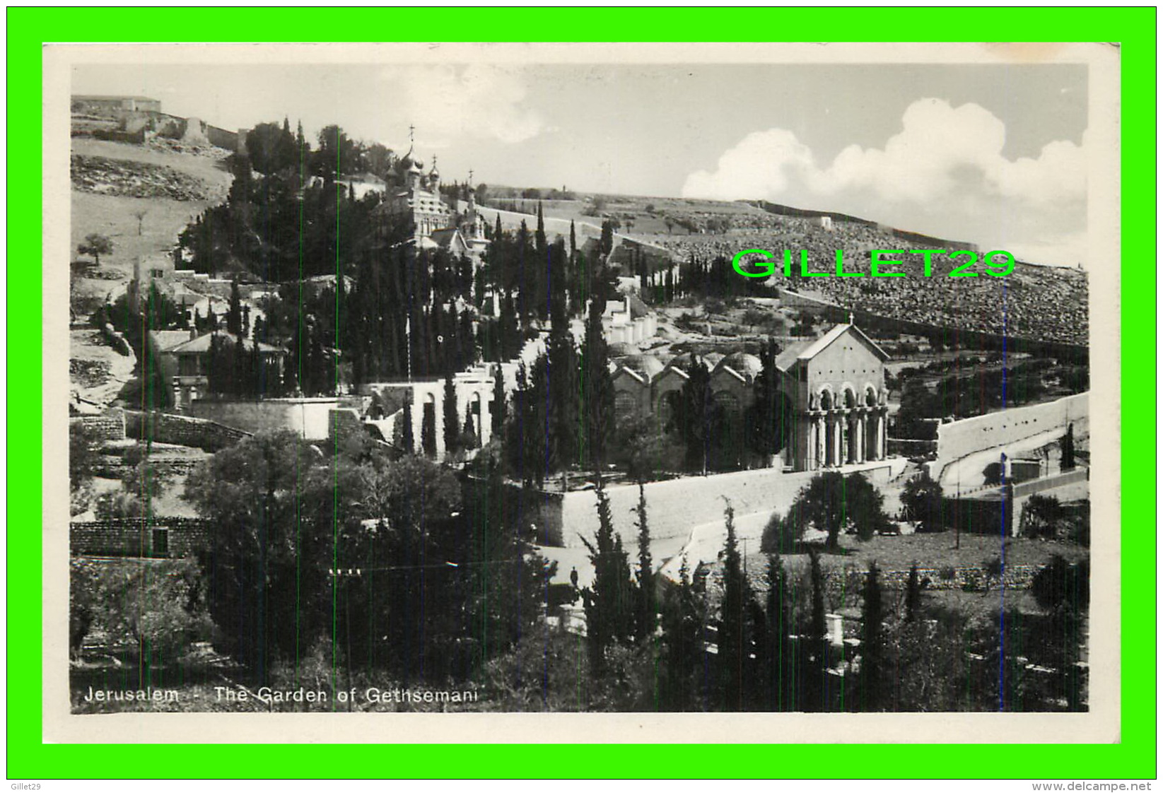 JERUSALEM, ISRAEL - THE GARDEN OF GETHSEMANI - SIONS-VERLAG - - Israel