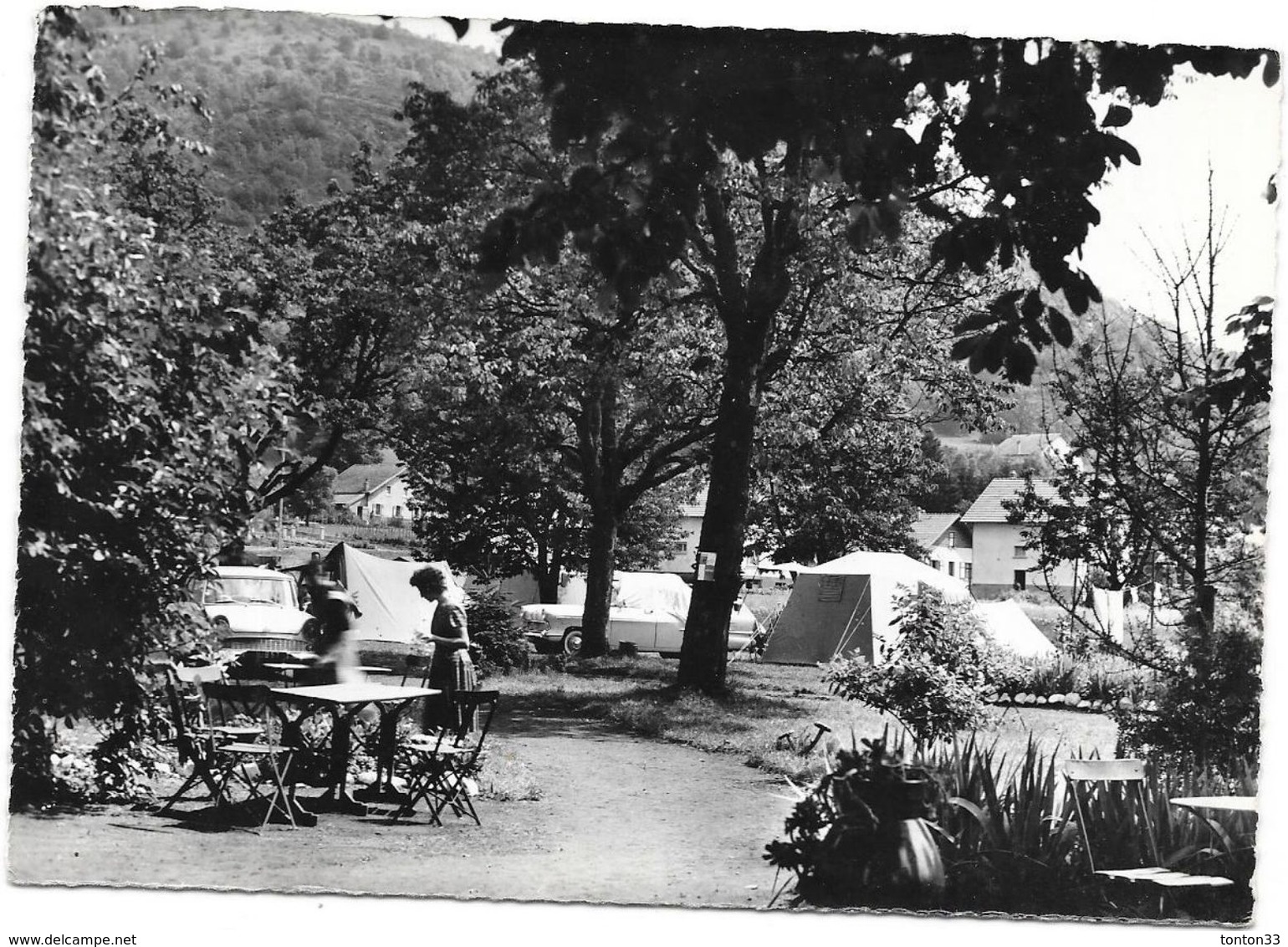 FRESSE SUR MOSELLE - 88 - Une Vue Du Camping - SAL** - - Fresse Sur Moselle