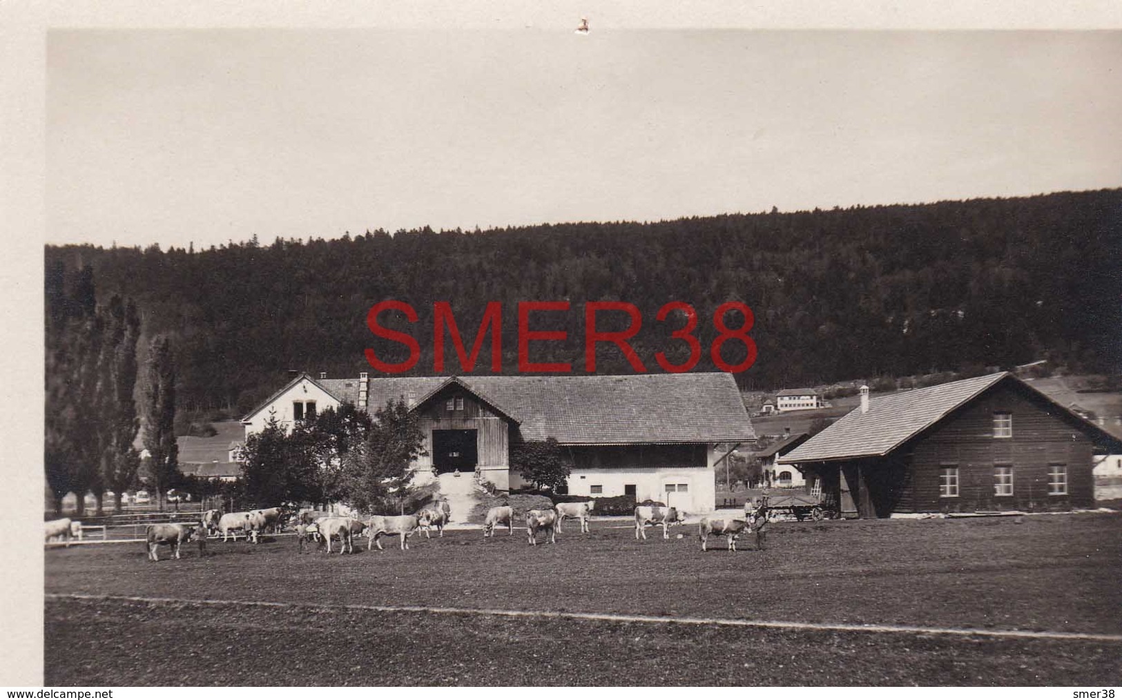 Suisse - Dombresson - Ferme De L'orphelinat Borel - Dombresson 