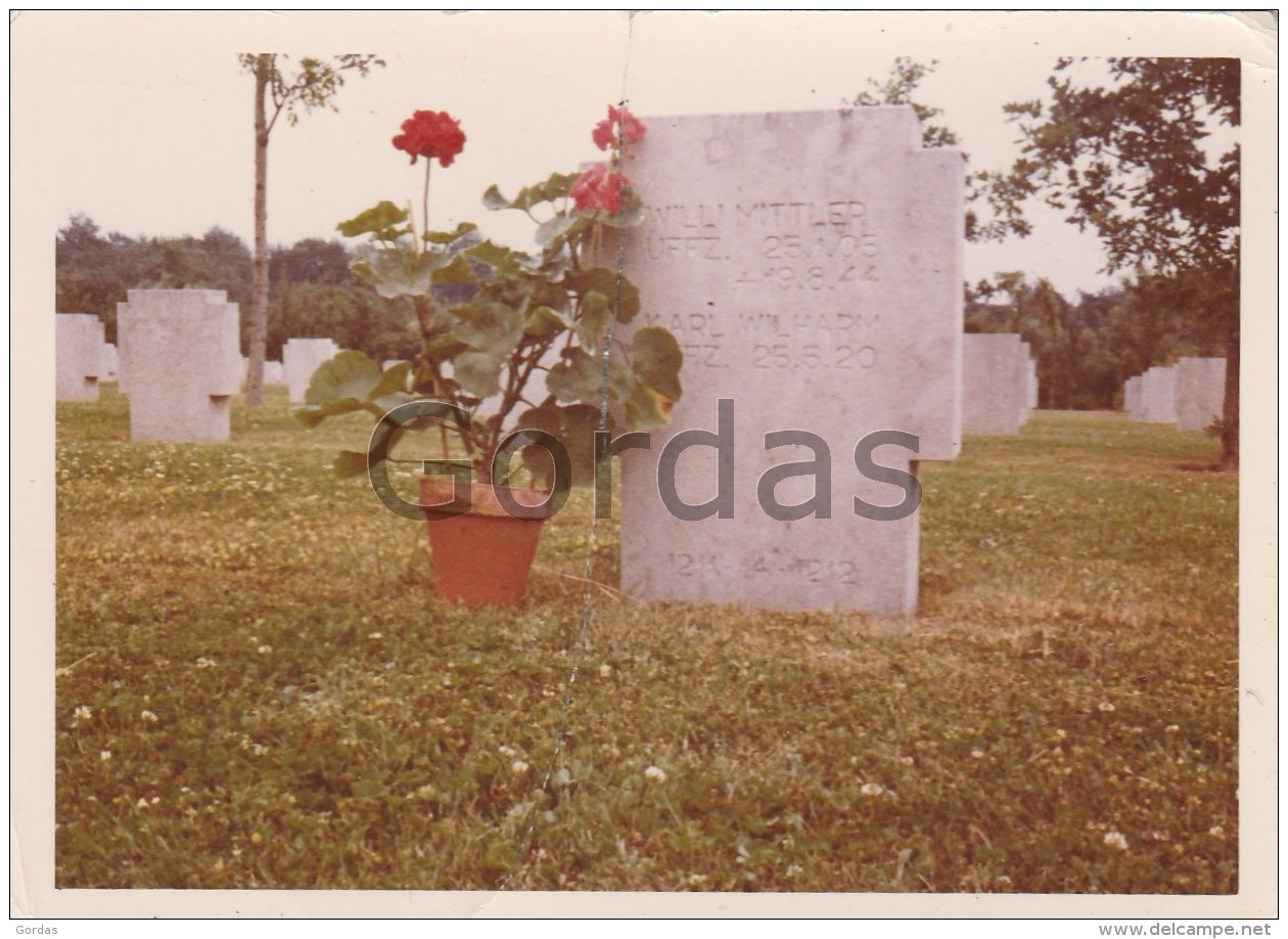 Germany - Gummersbach - Friedhof - Photo 110x80mm - Gummersbach