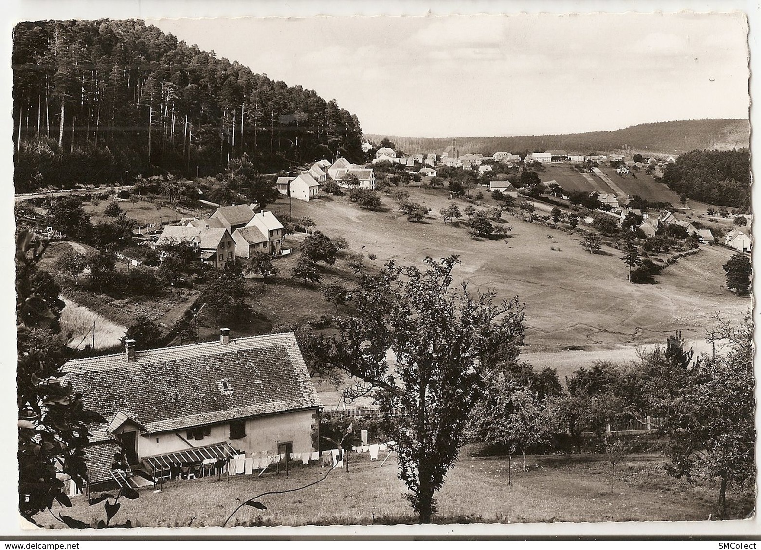 67 Wangenbourg, Vue Depuis Le Schneethal (GF355) - Autres & Non Classés