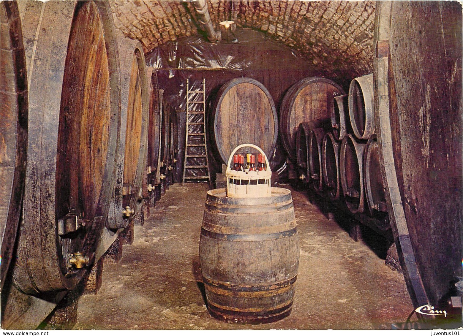 CPSM Arbois-Cave-Vigneron-Jacques Tissot                 L2634 - Arbois