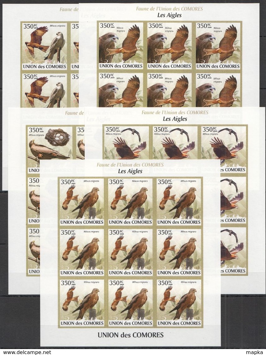 N189 IMPERFORATE 2009 UNION DES COMORES FAUNA BIRDS LES AIGLES !!! 9SET MNH - Adler & Greifvögel