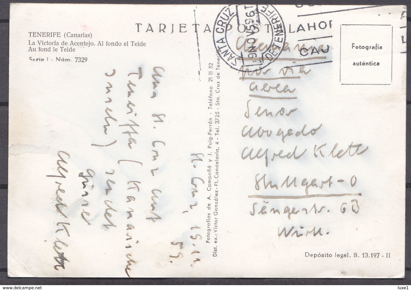 SPAIN  ,  TENERIFE  ,  OLD  POSTCARD - Tenerife