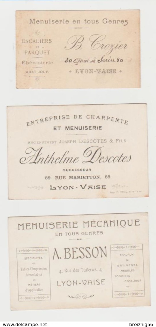 20 Cartes Commerciales Menuiseries, Scieries, Métiers Du Bois Lyon, Orliénas, Calluire, Vaugneray,Bron, Vaise, Thurins. - Cartoncini Da Visita