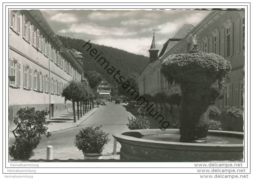 Bad Teinach - Foto-AK - Bad Teinach