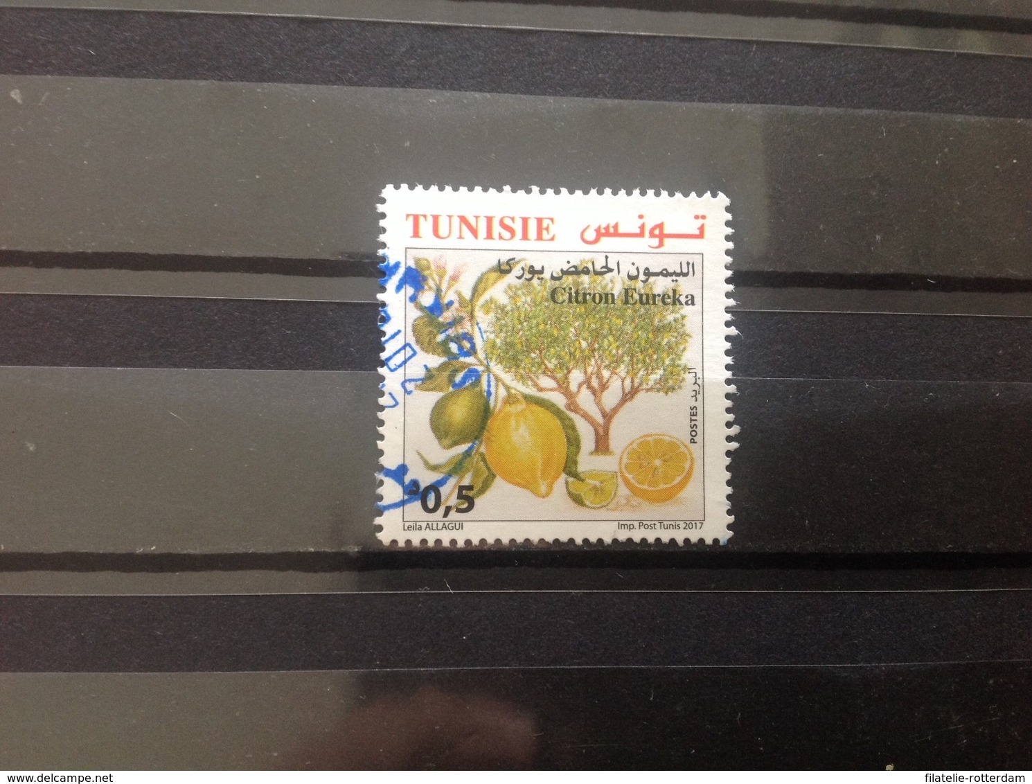 Tunesië / Tunisia - Citrusvruchten (0.5) 2017 - Tunesië (1956-...)