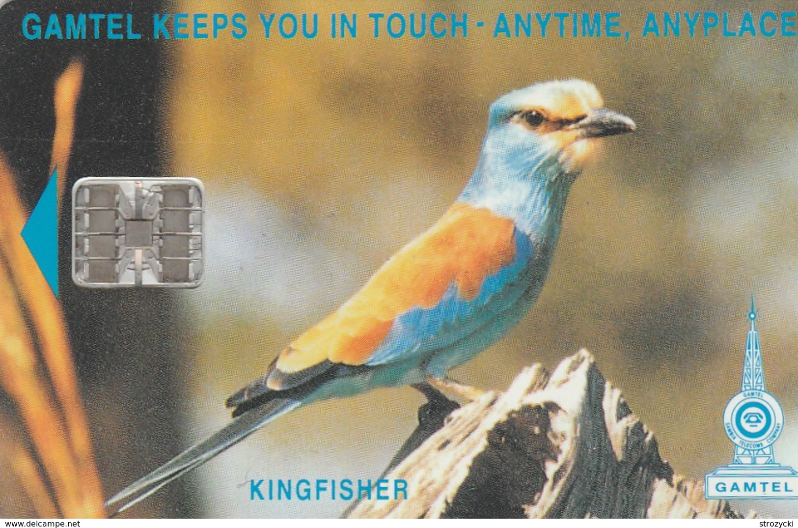 Gambia -  Bird - Kingfisher (CN: C511xxxxx) - Gambia