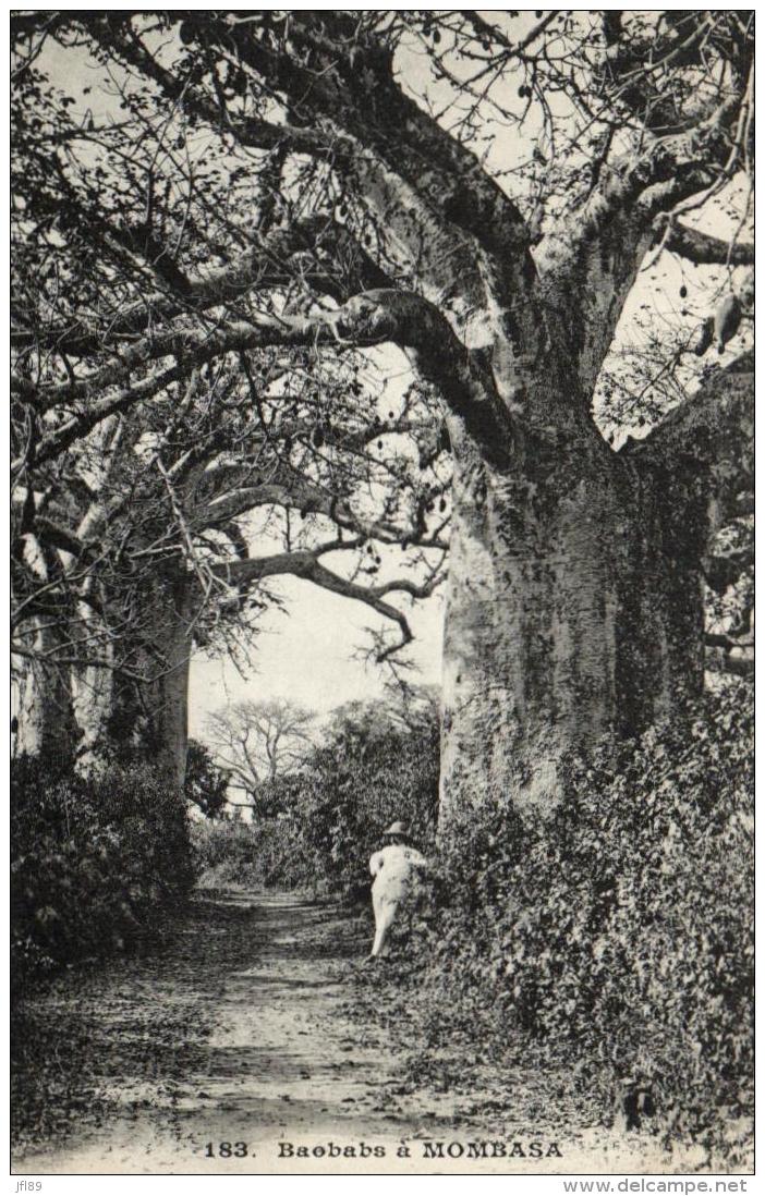 B 6929 - Messageries  Maritîmes     Afrique    Mombasa     Baobabs - Senegal