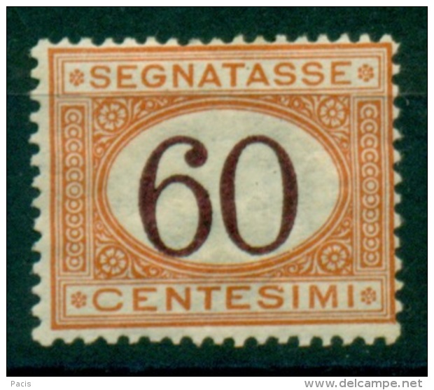 REGNO 1924 SEGNATASSE  60 C. MH* - Postage Due