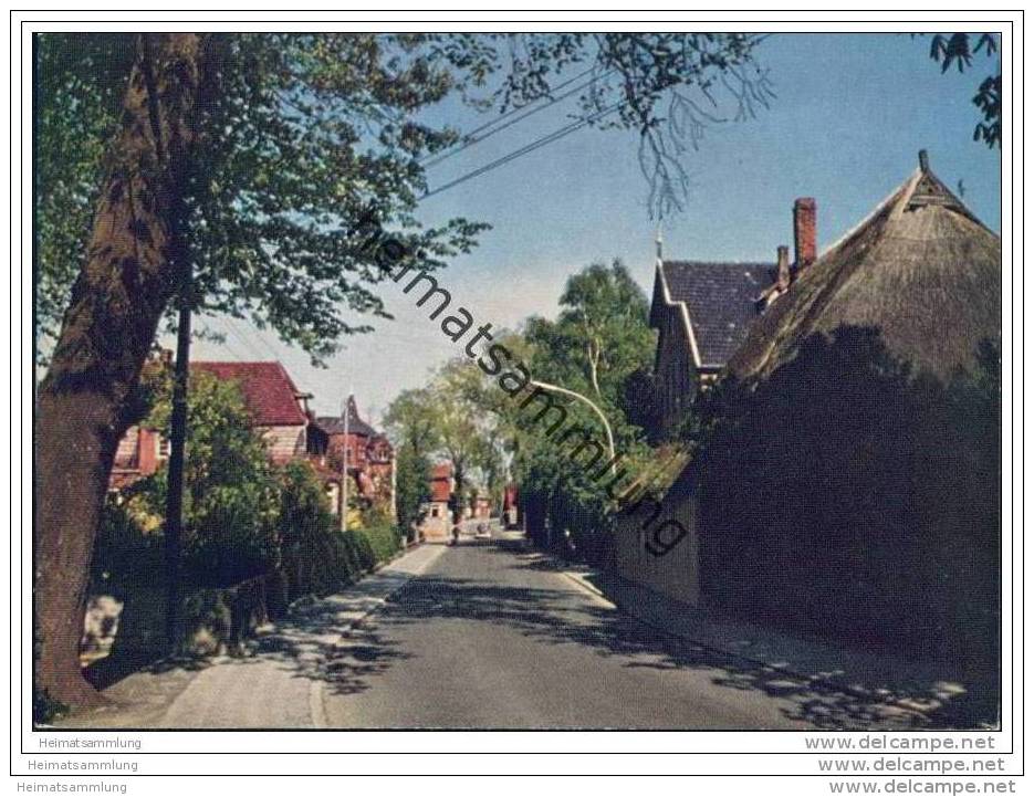 24217 Schönberg - Strassenansicht - AK-Grossformat - Schoenberg