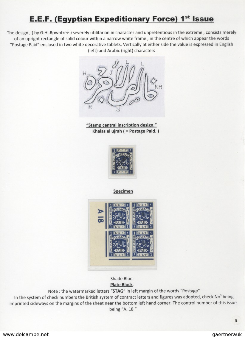 00391 Palästina: 1918-1927, Exhibition Collection "PALESTINE STAMPS & COVERS FROM 1918 - 1927" On 80 Leave - Palestine