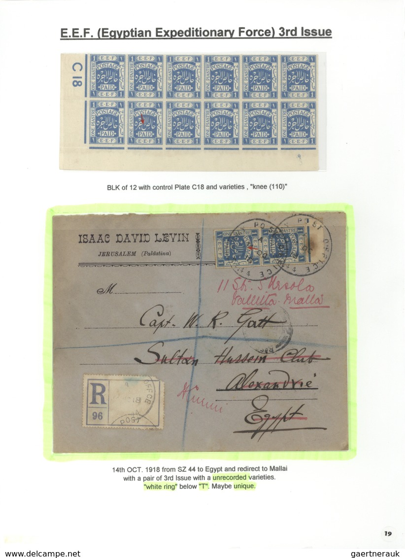 00391 Palästina: 1918-1927, Exhibition Collection "PALESTINE STAMPS & COVERS FROM 1918 - 1927" on 80 leave