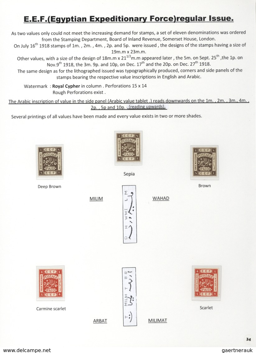 00391 Palästina: 1918-1927, Exhibition Collection "PALESTINE STAMPS & COVERS FROM 1918 - 1927" on 80 leave