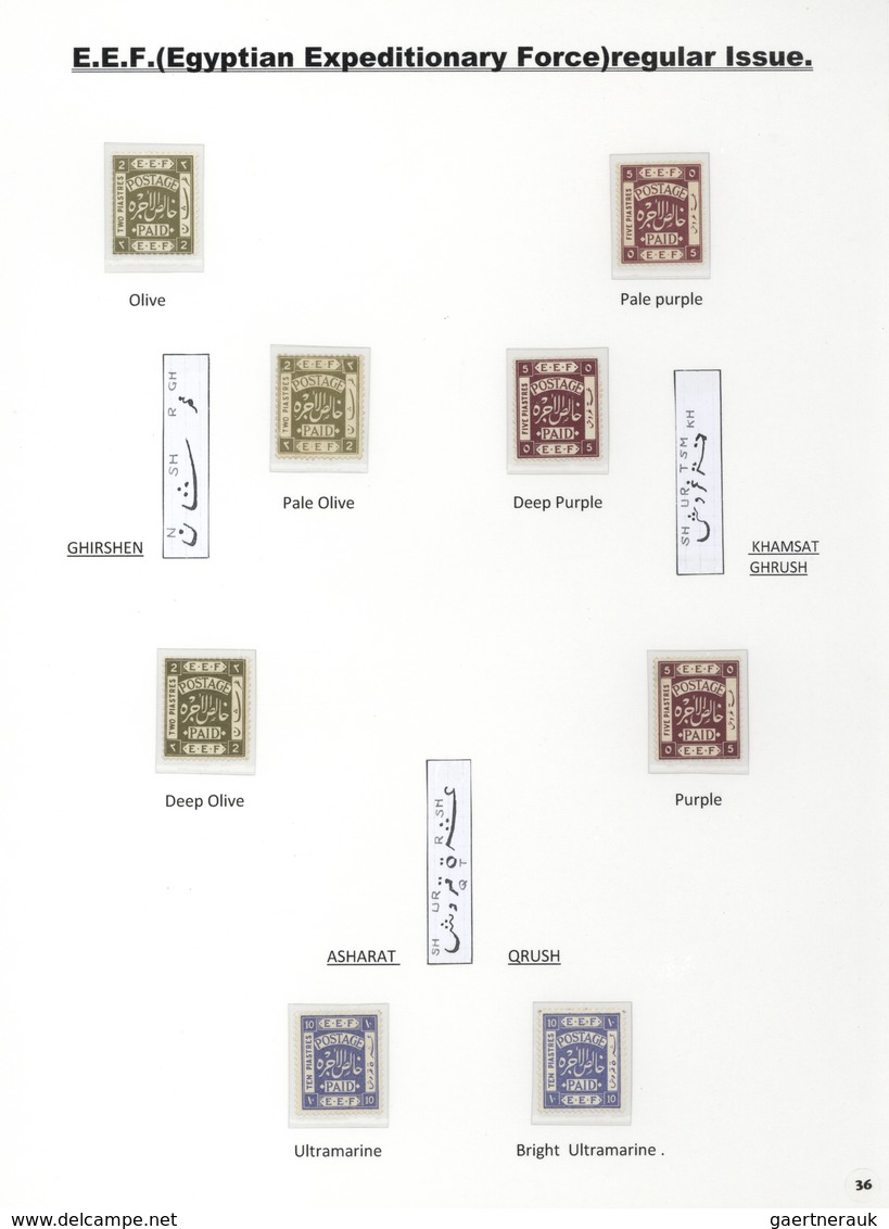 00391 Palästina: 1918-1927, Exhibition Collection "PALESTINE STAMPS & COVERS FROM 1918 - 1927" on 80 leave
