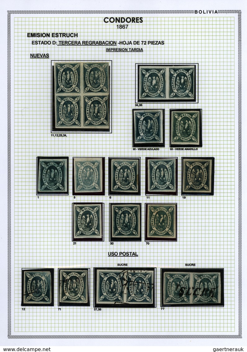 00565 Bolivien: 1867: THE CONDOR ISSUE: A scarce and unique special collection of a most exciting classica