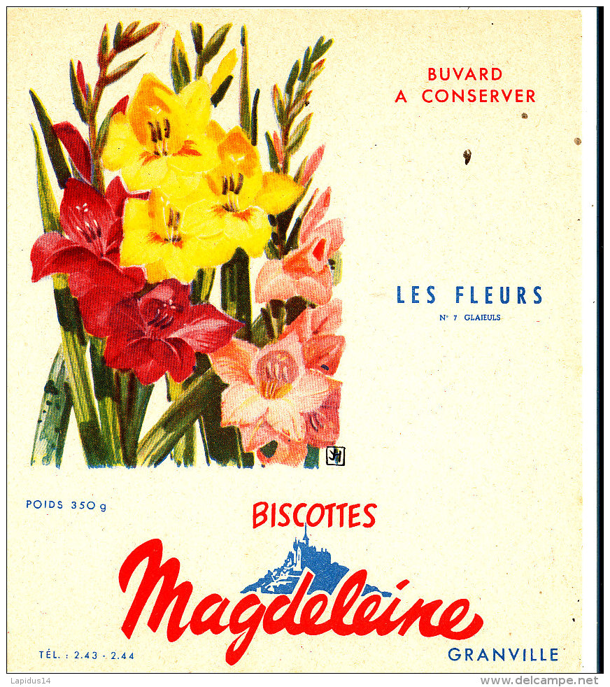 BU 1511 / BUVARD   BISCOTTES MAGDELEINE   LES FLEURS GLAIEULS - Biscotti